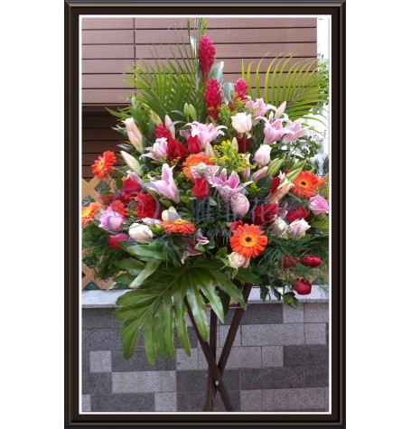 CBF-005
